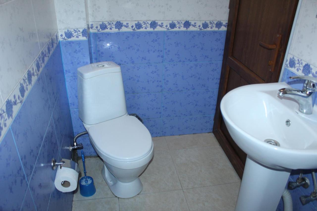 Roza Guesthouse Kazbegi Exterior photo